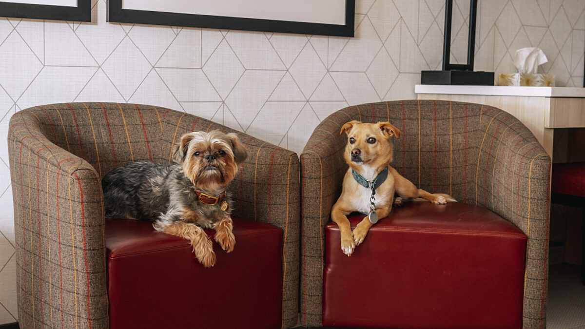 20220915 MTL 3 2022 09 16 012502 mcjh v1663291502