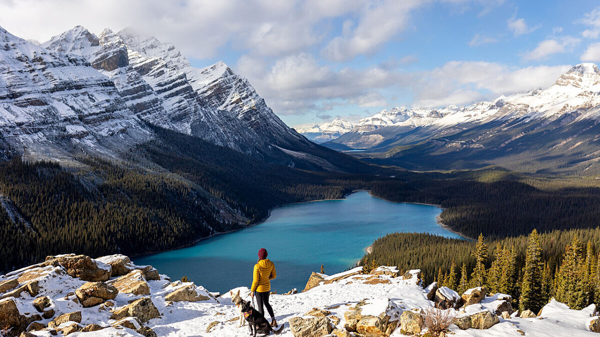 A24 037133 Low Res JPG v1743105417