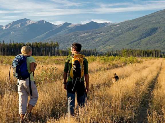 Summer Hiking 1 v1782943238